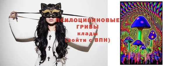 ГАЛЛЮЦИНОГЕННЫЕ ГРИБЫ Кинешма