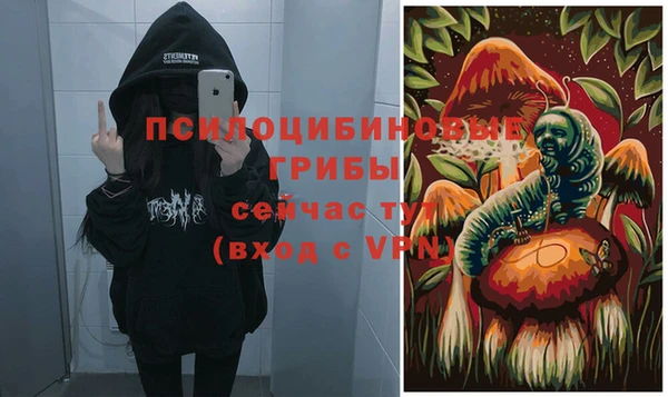 ГАЛЛЮЦИНОГЕННЫЕ ГРИБЫ Кинешма