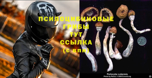 спайс Киренск
